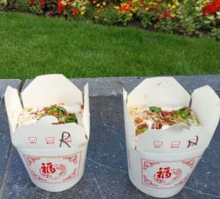 Wokman in Liege / Lüttich