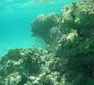 Three Corners Fayrouz Plaza Beach Resort