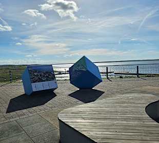 Wandern Großräschen
