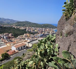 Ausblick von der Burg
