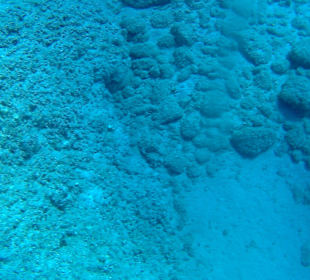 Schnorcheln Kolymbia