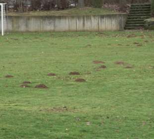 Sportanlage Schönbuch