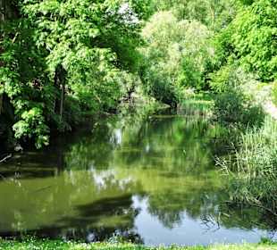 Impressionen von der Insel Krautsand