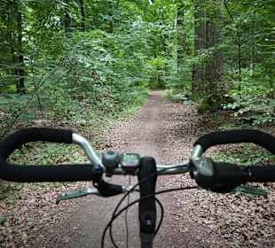 Waldweg nahe Legden