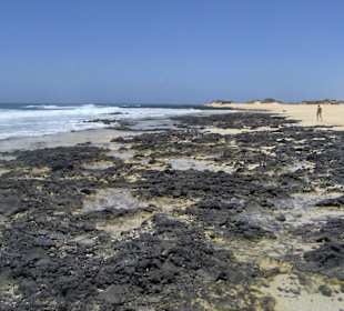 Parco naturale delle dune