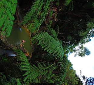 Das heißere der beiden Quellwasser-Becken