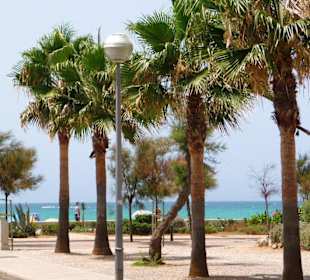 Auf dem Weg zum Strand