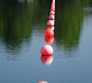 Bis hier kontrolliert die Wasserwacht