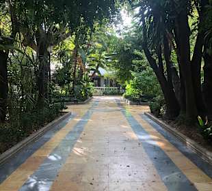 Plaza de la Alameda