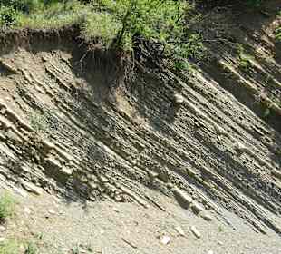 Krajobrazy w trakcie safari