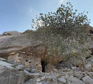Ausflug Jebel Harim