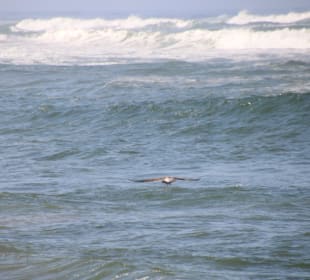 .....ein weiterer kommt hinzu!