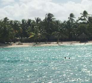 Insel Saona