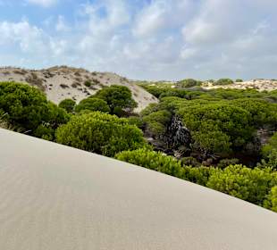 Stadtrundgang Matalascanas