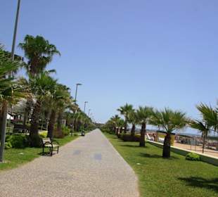 Hier kann man Laufen ohne Ende