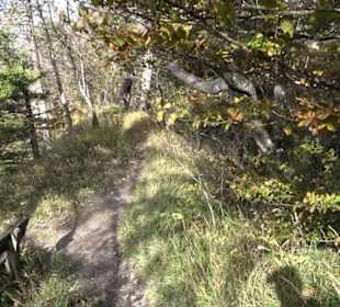Geschichtslehrpfad Streichen