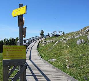 Holzwege