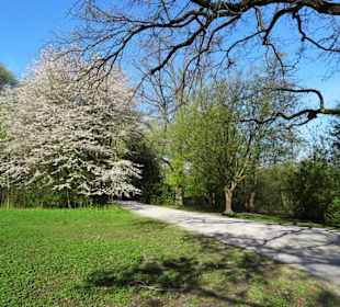 Rundgang durch den Hermann-Löns-Park