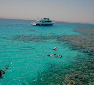 Schnorchelausflug mit Tiger Marine