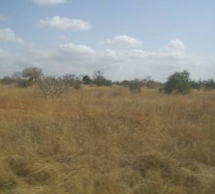 Tsavo Ost