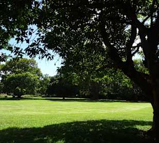 Stadtrundgang Sydney