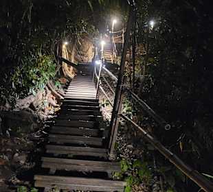 Monkey Trail