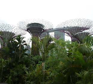 Gardens by the Bay