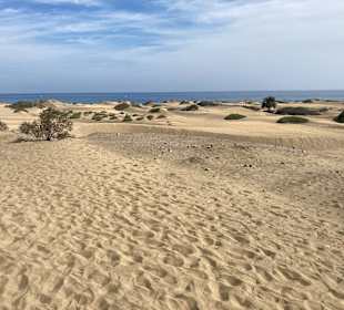 Dünen von Maspalomas