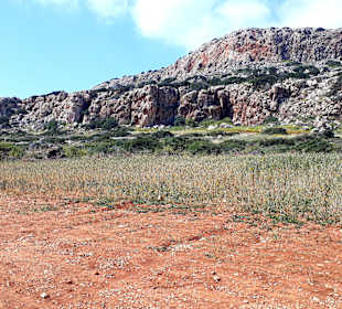 Nationalpark Kap Greco