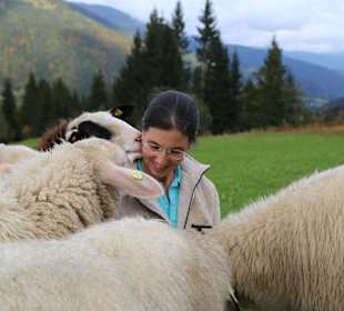 Kärntner Brillenschafe