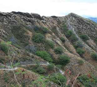 Der Weg des Aufstieg