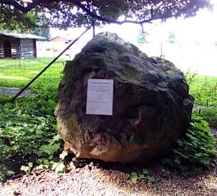 Der neue Wildpark in Bad Marienberg