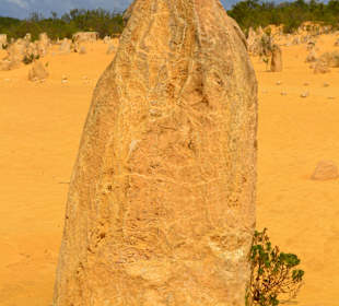 Pinnacles