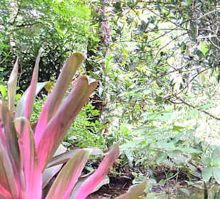 La Vanille Nature Parc in Riviere des Anguilles