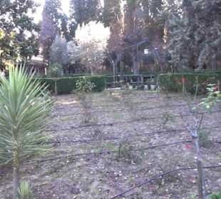 Garten der Mönche