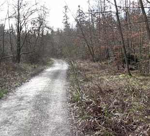 Gomaringer Rundweg - Zu den Giganten im Wald