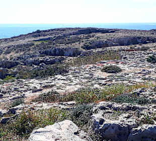 Der Weg ist das Ziel