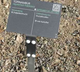 Erläuterungen der Kräuter