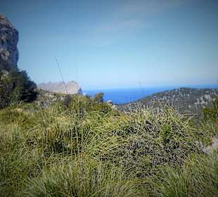 Na Blanca