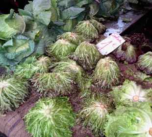Rundgang über den Marché forain du Front de Mer