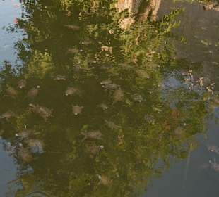 Mamura Kalesi ( Burg Anamur )