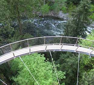 Capilano Suspension Bridge and Park