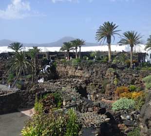 Jameos del Agua