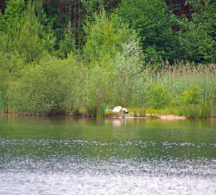 Im Sommer