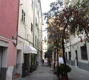 Altstadt Savona