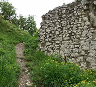 Ruine Burg Kaltenburg