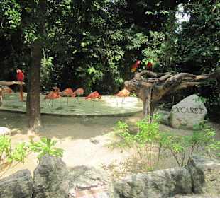 Xcaret