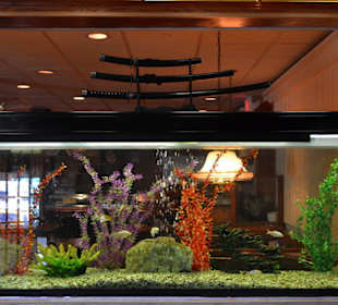 Japanisches Restaurant Arigato