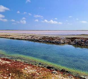 Boinare Cruisers Kralendijk