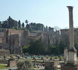 Forum Romanum